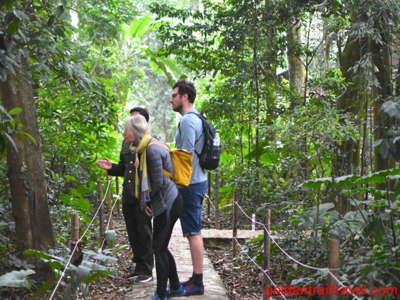 Cuc Phuong Jungle Trek 2 Days